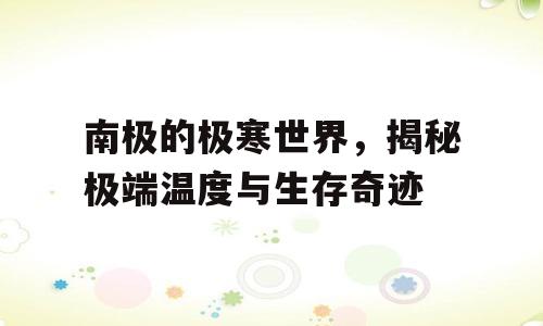 南极的极寒世界，揭秘极端温度与生存奇迹