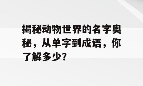 揭秘动物世界的名字奥秘，从单字到成语，你了解多少？
