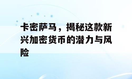 卡密萨马，揭秘这款新兴加密货币的潜力与风险