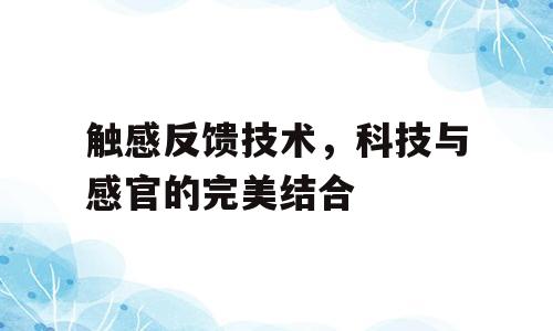 触感反馈技术，科技与感官的完美结合
