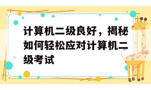 计算机二级良好，揭秘如何轻松应对计算机二级考试