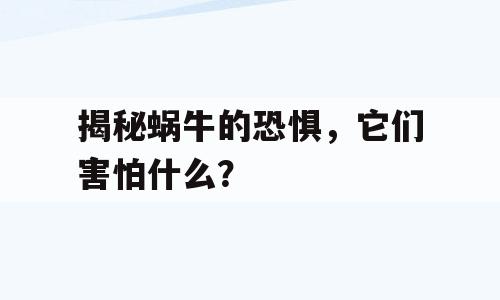 揭秘蜗牛的恐惧，它们害怕什么？