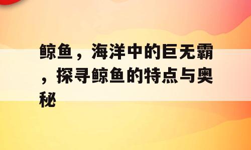 鲸鱼，海洋中的巨无霸，探寻鲸鱼的特点与奥秘