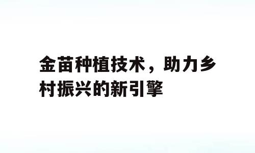 金苗种植技术，助力乡村振兴的新引擎