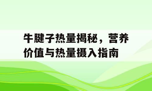 牛腱子热量揭秘，营养价值与热量摄入指南