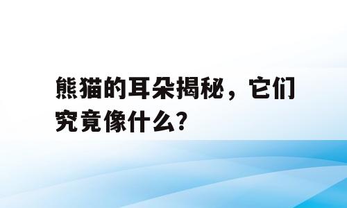 熊猫的耳朵揭秘，它们究竟像什么？