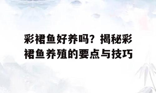 彩裙鱼好养吗？揭秘彩裙鱼养殖的要点与技巧
