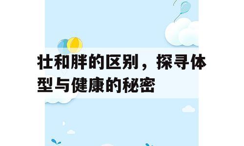 壮和胖的区别，探寻体型与健康的秘密