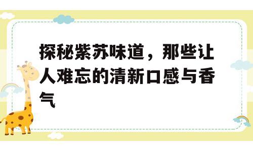探秘紫苏味道，那些让人难忘的清新口感与香气