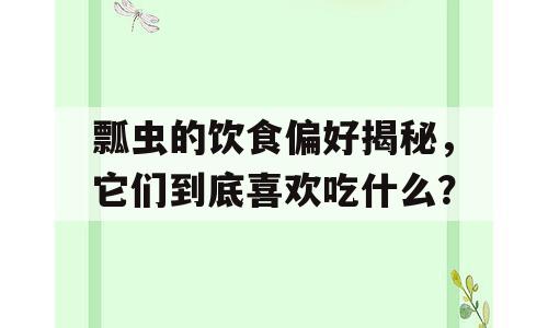 瓢虫的饮食偏好揭秘，它们到底喜欢吃什么？