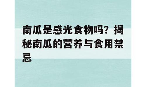 南瓜是感光食物吗？揭秘南瓜的营养与食用禁忌