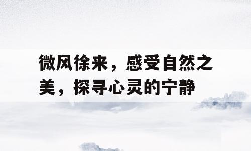 微风徐来，感受自然之美，探寻心灵的宁静