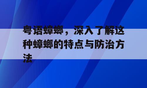 粤语蟑螂，深入了解这种蟑螂的特点与防治方法