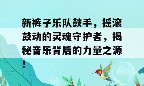 新裤子乐队鼓手，摇滚鼓动的灵魂守护者，揭秘音乐背后的力量之源！