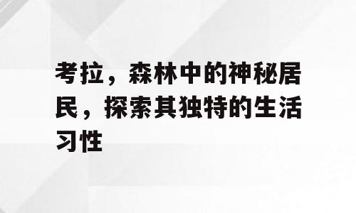 考拉，森林中的神秘居民，探索其独特的生活习性