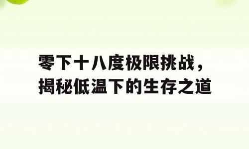零下十八度极限挑战，揭秘低温下的生存之道