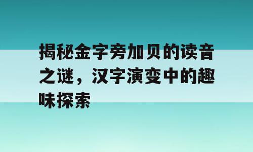 揭秘金字旁加贝的读音之谜，汉字演变中的趣味探索