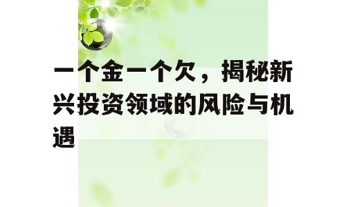 一个金一个欠，揭秘新兴投资领域的风险与机遇