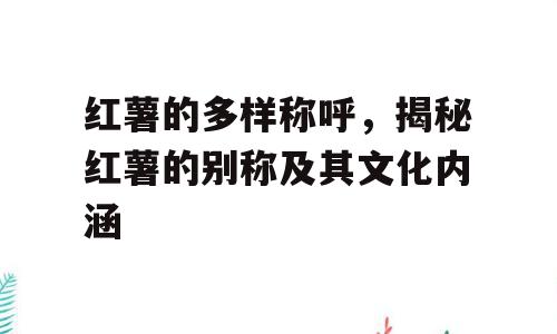 红薯的多样称呼，揭秘红薯的别称及其文化内涵