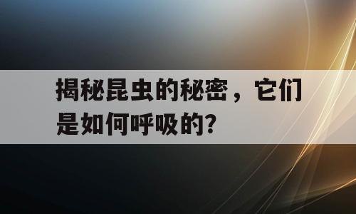 揭秘昆虫的秘密，它们是如何呼吸的？