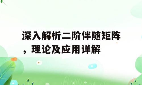 深入解析二阶伴随矩阵，理论及应用详解