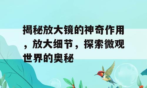 揭秘放大镜的神奇作用，放大细节，探索微观世界的奥秘