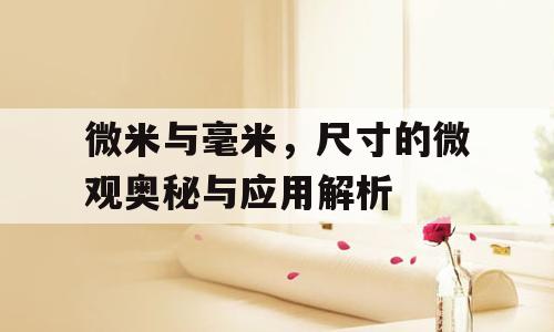 微米与毫米，尺寸的微观奥秘与应用解析