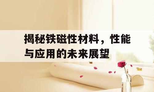 揭秘铁磁性材料，性能与应用的未来展望