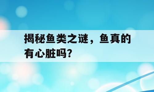 揭秘鱼类之谜，鱼真的有心脏吗？
