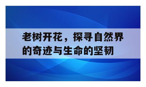 老树开花，探寻自然界的奇迹与生命的坚韧