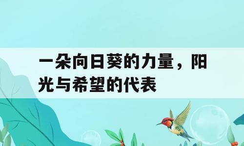 一朵向日葵的力量，阳光与希望的代表