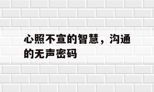 心照不宣的智慧，沟通的无声密码