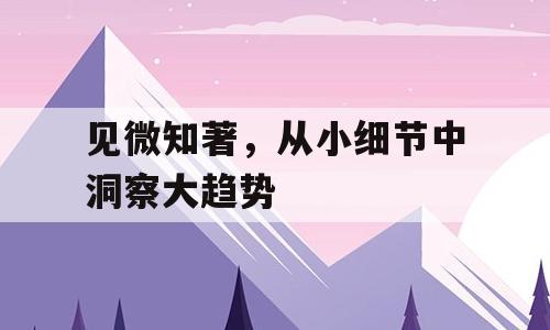 见微知著，从小细节中洞察大趋势