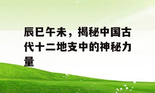 辰巳午未，揭秘中国古代十二地支中的神秘力量