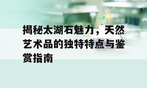 揭秘太湖石魅力，天然艺术品的独特特点与鉴赏指南