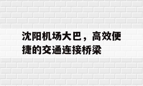 沈阳机场大巴，高效便捷的交通连接桥梁