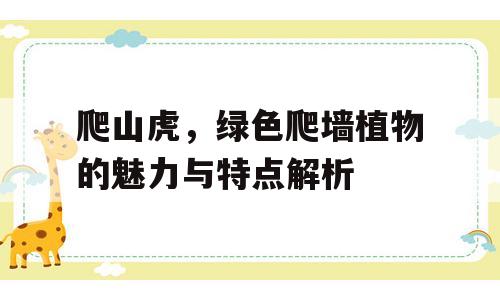 爬山虎，绿色爬墙植物的魅力与特点解析