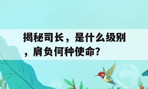揭秘司长，是什么级别，肩负何种使命？