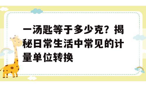 一汤匙等于多少克？揭秘日常生活中常见的计量单位转换