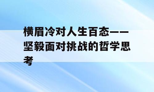 横眉冷对人生百态——坚毅面对挑战的哲学思考