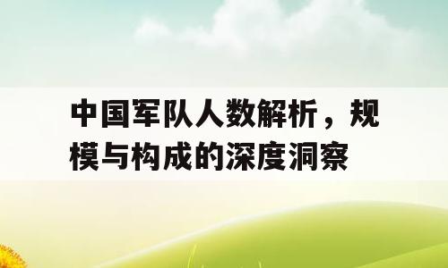 中国军队人数解析，规模与构成的深度洞察