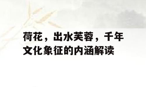 荷花，出水芙蓉，千年文化象征的内涵解读
