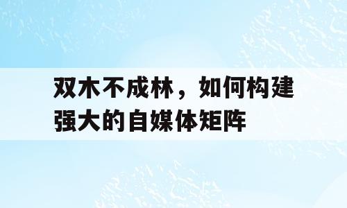 双木不成林，如何构建强大的自媒体矩阵