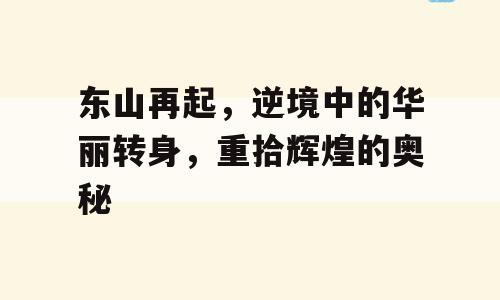东山再起，逆境中的华丽转身，重拾辉煌的奥秘