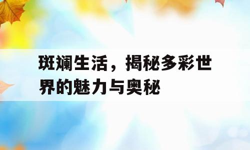 斑斓生活，揭秘多彩世界的魅力与奥秘