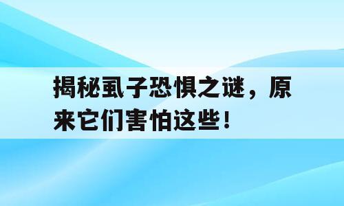 揭秘虱子恐惧之谜，原来它们害怕这些！