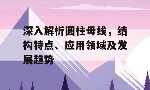 深入解析圆柱母线，结构特点、应用领域及发展趋势