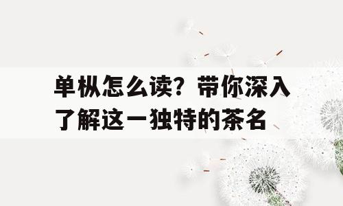 单枞怎么读？带你深入了解这一独特的茶名