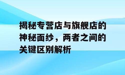 揭秘专营店与旗舰店的神秘面纱，两者之间的关键区别解析