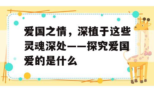 爱国之情，深植于这些灵魂深处——探究爱国爱的是什么